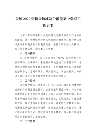乡镇2025年新兴领域两个覆盖集中重点工作方案.docx