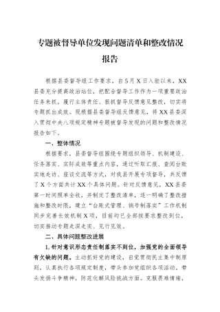 专题被督导单位发现问题清单和整改情况报告.docx