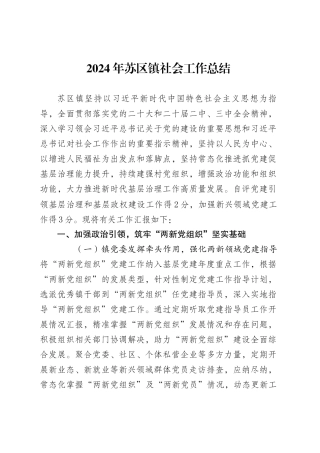 2024年XX镇社会工作总结.docx