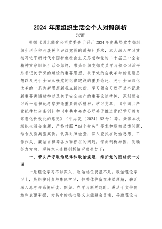 2024年度组织生活会个人对照剖析.docx