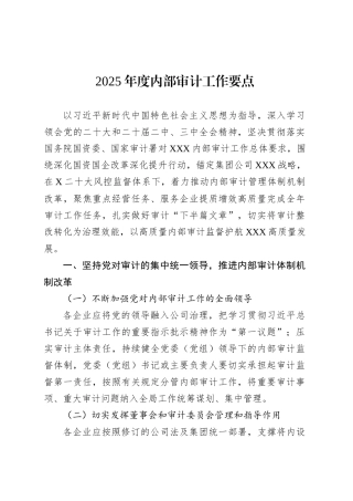 2025年度内部审计工作要点.docx
