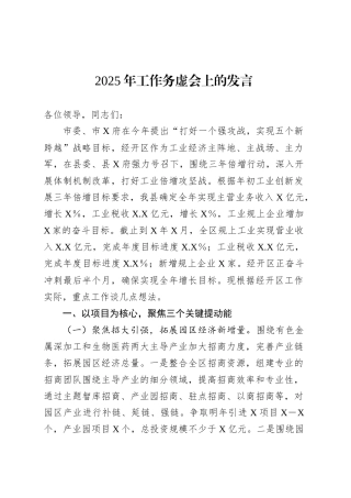 2025年工作务虚会上的发言.docx