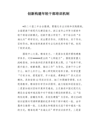 （20250407）创新构建年轻干部培训机制.docx