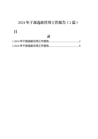 2024年干部选拔任用工作报告（2篇）.docx