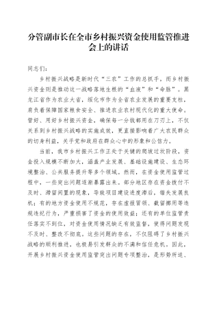 分管副市长在全市乡村振兴资金使用监管推进会上的讲话.docx