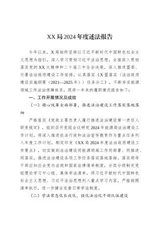 XX局2024年度述法报告.docx
