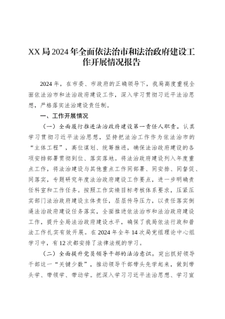 XX局2024年全面依法治市和法治政府建设工作开展情况报告.docx