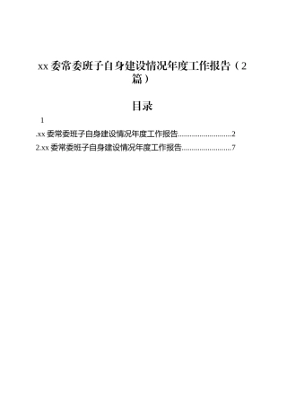 xx委常委班子自身建设情况年度工作报告（2篇）.docx