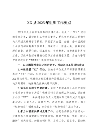 XX县2025年组织工作要点.docx
