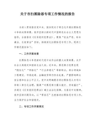 关于市扫黑除恶专项工作情况的报告.docx