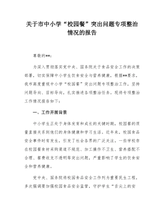 关于市中小学“校园餐”突出问题专项整治情况的报告.docx
