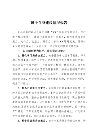 班子自身建设情况报告.docx