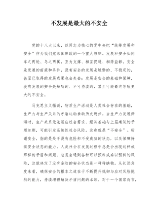 不发展是最大的不安全.docx