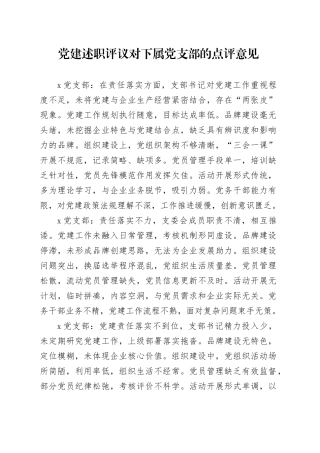 党建述职评议对下属党支部的点评意见.docx