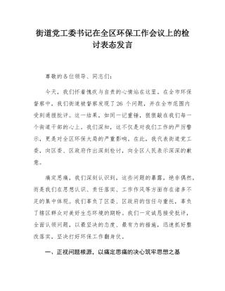 街道党工委书记在全区环保工作会议上的检讨表态发言.docx