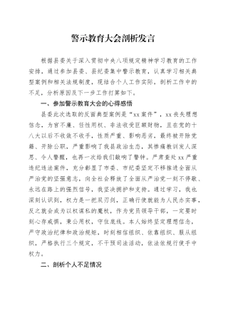 警示教育大会剖析发言.docx