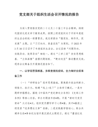 党支部关于组织SH会召开情况的报告.docx