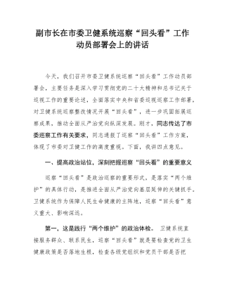 副市长在市委卫健系统巡察“回头看”工作动员部署会上的讲话.docx