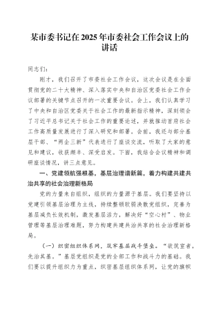 某市委书记在2025年市委社会工作会议上的讲话.docx