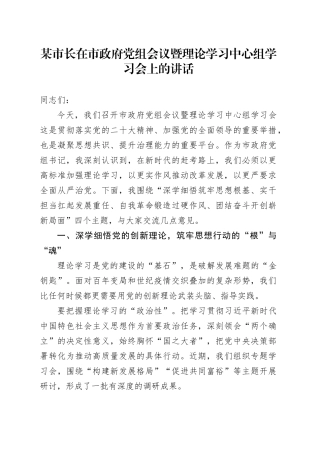 某市长在市政府党组会议暨理论学习中心组学习会上的讲话.docx