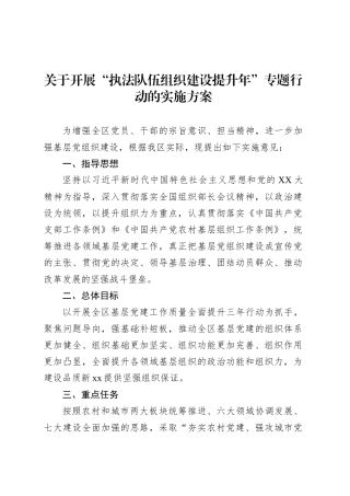 关于开展“执法队伍组织建设提升年”专题行动的实施方案.docx