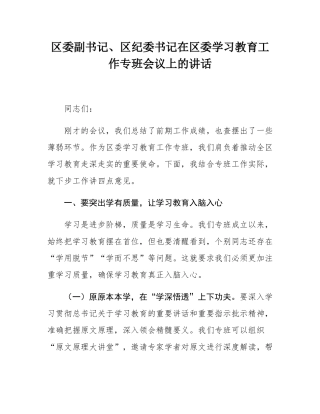 区委副书记、区纪委书记在区委学习教育工作专班会议上的讲话.docx