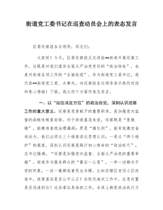 街道党工委书记在巡查动员会上的表态发言.docx