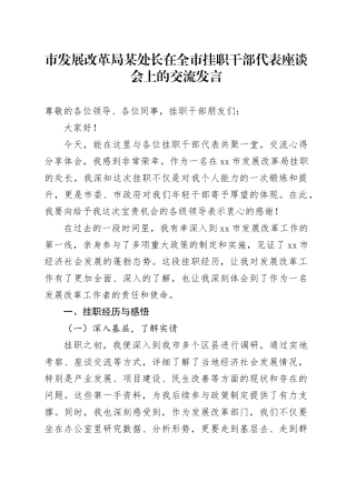 市发展改革局某处长在全市挂职干部代表座谈会上的交流发言.docx