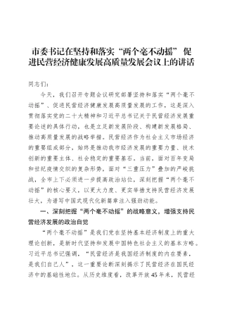 市委书记在坚持和落实“两个毫不动摇” 促进民营经济健康发展高质量发展会议上的讲话.docx