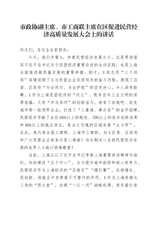 市政协副主席、市工商联主席在区促进民营经济高质量发展大会上的讲话.docx