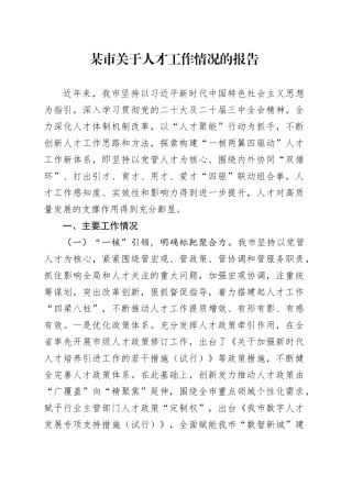 某市关于人才工作情况的报告.docx