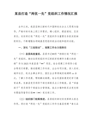 某县打造“两优一先”党组织工作情况汇报.docx