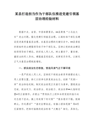 某县打造担当作为干部队伍推进党建引领基层治理经验材料.docx