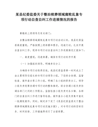 某县纪委监委关于整治殡葬领域腐败乱象专项行动自查自纠工作进展情况的报告.docx