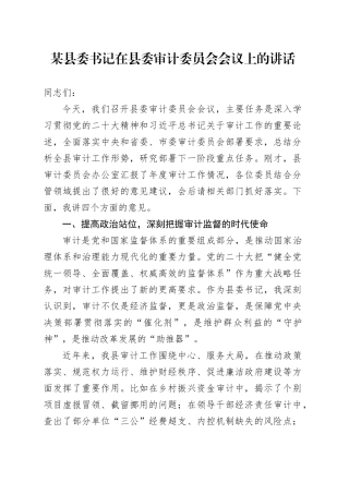 某县委书记在县委审计委员会会议上的讲话.docx