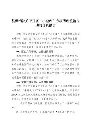 县供销社关于开展“小金库”专项清理整治行动的自查报告.docx