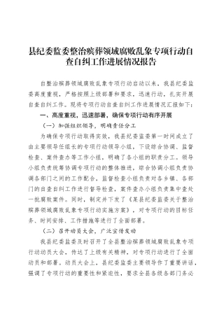 县纪委监委整治殡葬领域腐败乱象专项行动自查自纠工作进展情况报告.docx