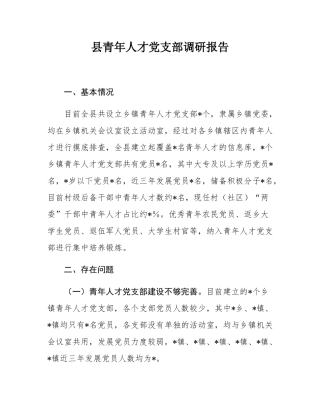 县青年人才党支部调研报告.docx