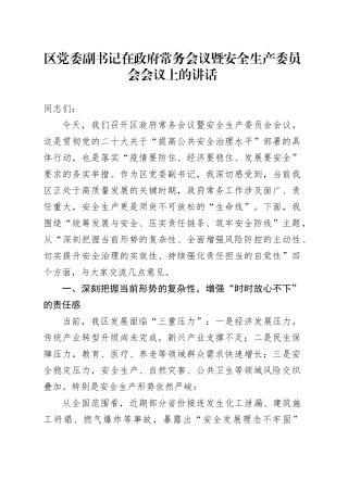 区党委副书记在政府常务会议暨安全生产委员会会议上的讲话.docx