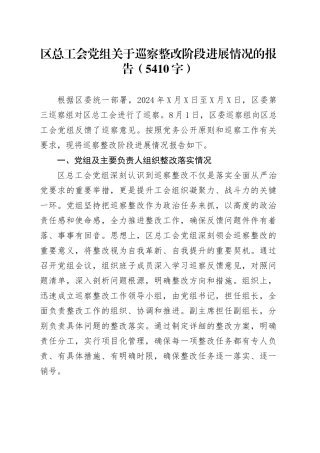 区总工会党组关于巡察整改阶段进展情况的报告.docx