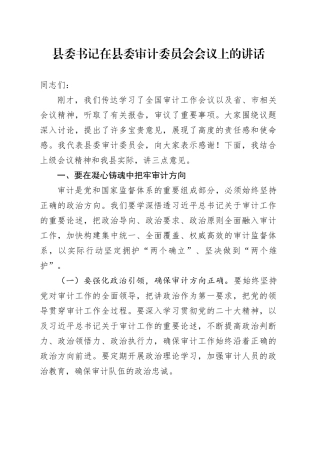 县委书记在县委审计委员会会议上的讲话.docx