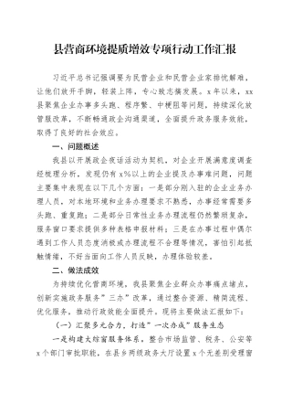 县营商环境提质增效专项行动工作汇报.docx