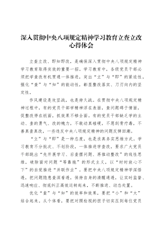 深入贯彻中央八项规定精神学习教育立查立改心得体会.docx
