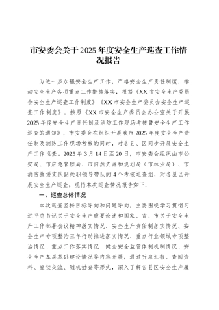 市安委会关于2025年度安全生产巡查工作情况报告.docx