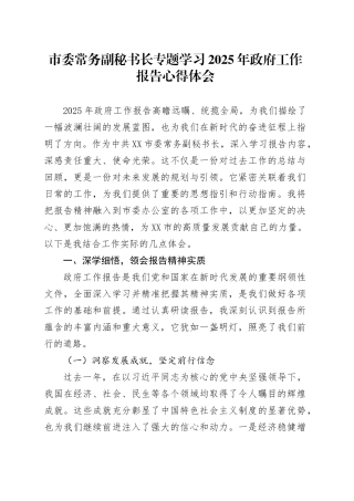 市委常务副秘书长专题学习2025年政府工作报告心得体会.docx