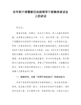 在年轻干部暨新任处级领导干部集体谈话会上的讲话.docx