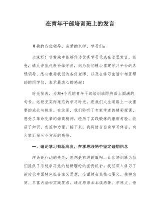 在青年干部培训班上的发言.docx