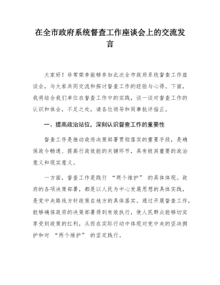 在全市政府系统督查工作座谈会上的交流发言.docx