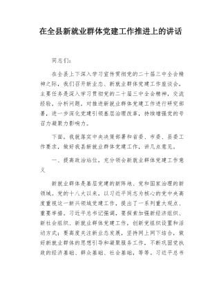 在全县新就业群体党建工作推进上的讲话.docx