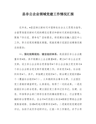 县非公企业领域党建工作情况汇报.docx